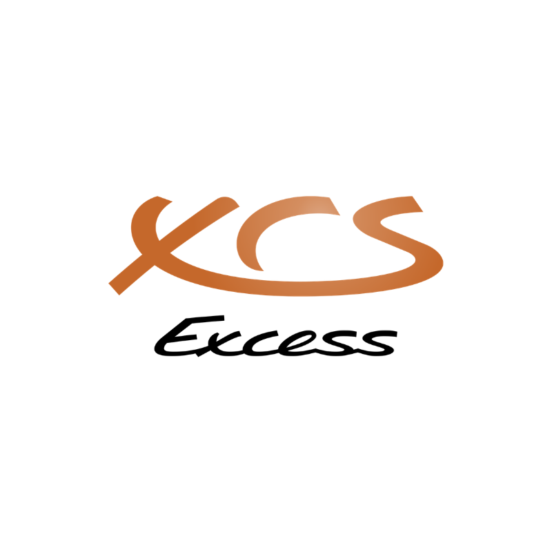 Excess logo